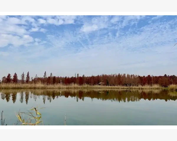 严重气血不足：当代都市人的隐秘健康之忧