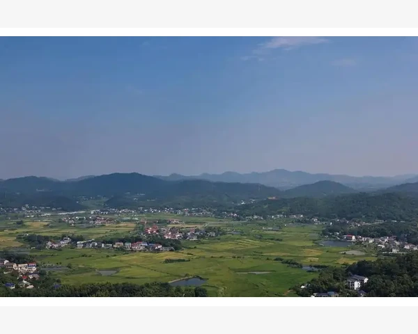 探寻补气中药，提升生活活力的秘密！