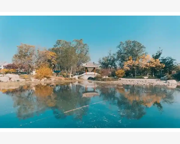 颈部针灸的功效与作用：缓解疼痛，改善血液循环