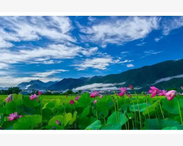 B2B电子商务类型划分与行业应用全景